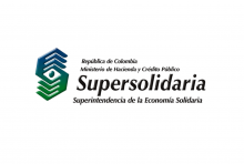 Fechas de reportes para las organizaciones solidarias de primer nivel 
