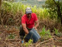Convertir a Montes de María en una Zona de Reserva Campesina