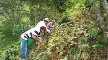 Avanza Plan Catatumbo con compra de tierras para campesinos