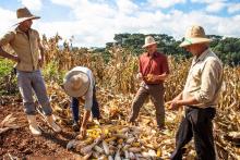 Créditos asociativos para fomentar la economía popular y la reforma agraria