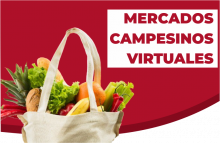 MCV