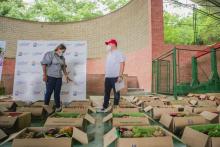 Las ventas de Mercados Campesinos Solidarios superaron las expectativas en Sincelejo