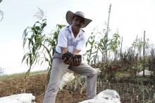 Mercados Campesinos Solidarios se toman el Cauca este fin de semana