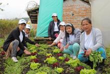 Más de 216 mil mujeres rurales han recibido créditos en este Gobierno