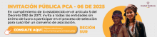 INVITACIÓN PÚBLICA PCA- 06 DE 2025