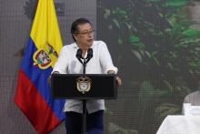 El pacto global por la selva que se dará en la COP 16.