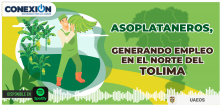 Podcast Conexión Solidaria: Asoplataneros 
