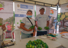 Mercado Campesino Huila