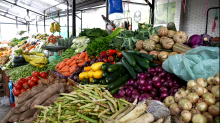 Gobierno nacional construirá la plaza de mercado de Puerto Tejada