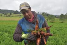  la economía en el país
