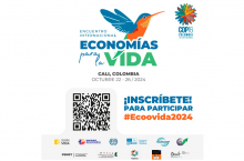 Cali se viste de solidaridad con Ecoovida2024