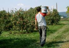 Los circuitos cortos de comercialización se consolidan como alternativa para la reactivación económica