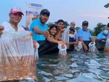 Organizaciones de economía solidaria de La Guajira, Magdalena y Cesar, se benefician gracias a la UAEOS