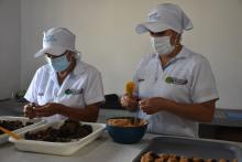 ¡Prepárense! La UAEOS realizará diferentes jornadas de Mercados Campesinos Solidarios 