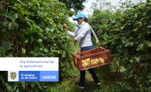 Día Internacional de la Agricultura