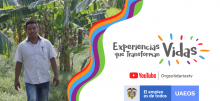 Experiencias