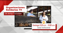 Este fin de semana en Organizaciones Solidarias TV