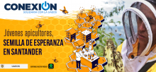 apicultores
