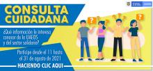 Consulta ciudadana