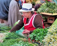 Agricultores