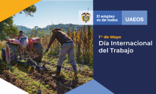 dia trabajo