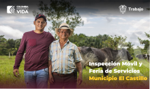 Inspección Móvil
