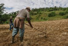 Agro colombiano genera 4,8 millones de empleos 
