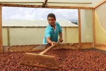 Mercados Campesinos Solidarios 