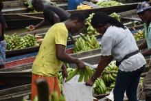 El cooperativismo, una herramienta para fomentar la paz en los territorios