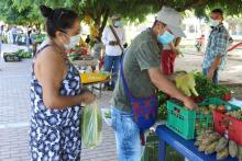 Mercados Campesinos Solidarios