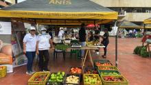 Circuitos Cortos de Comercialización