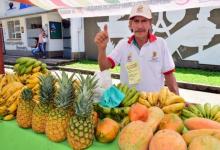 actividades