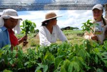 Mujeres
