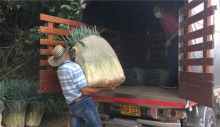 Mercados